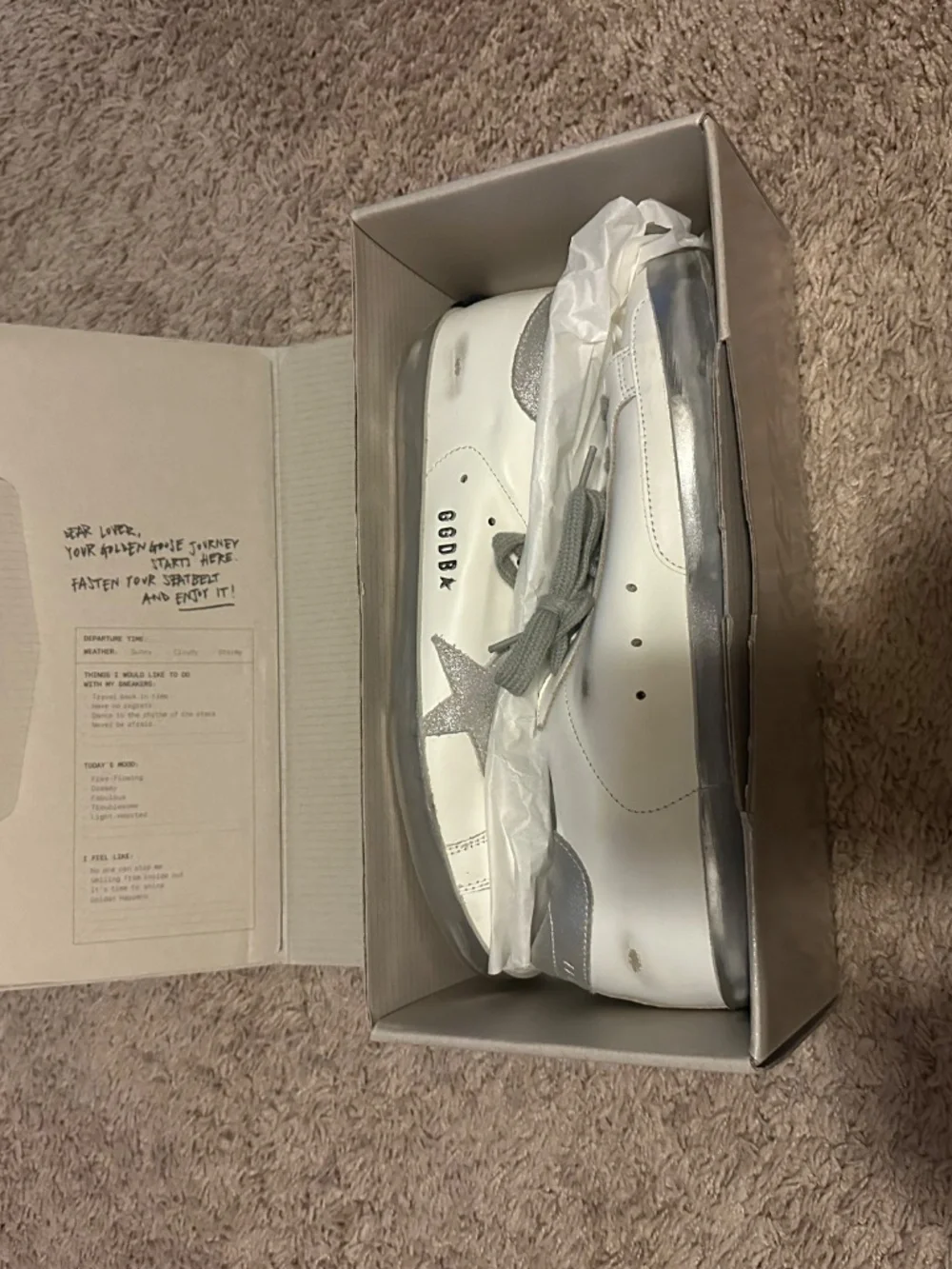 Golden Goose Silver Sneakers - Picture 5 of 6